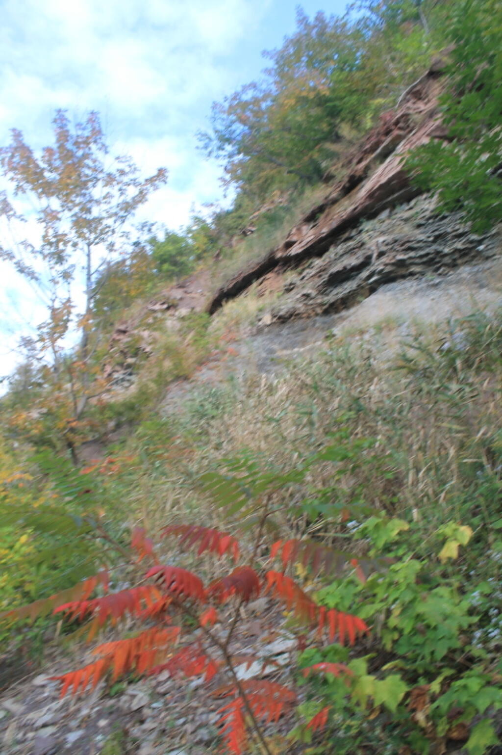 Photo: Niagara Escarpment High Above