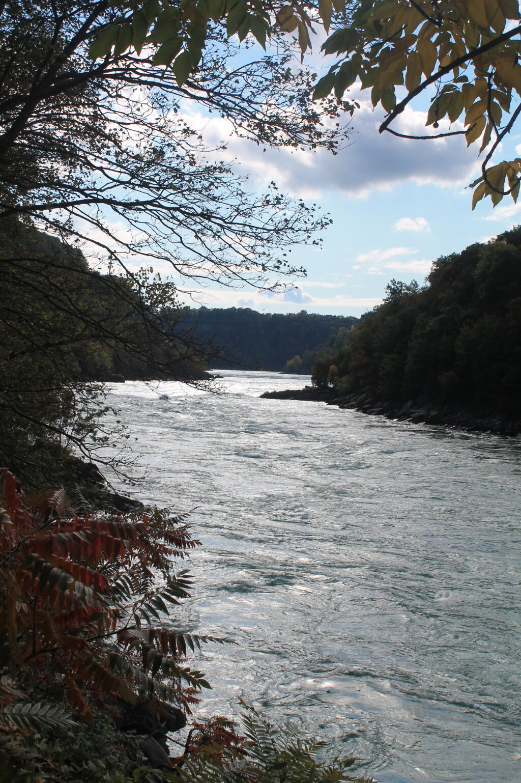 Photo: River