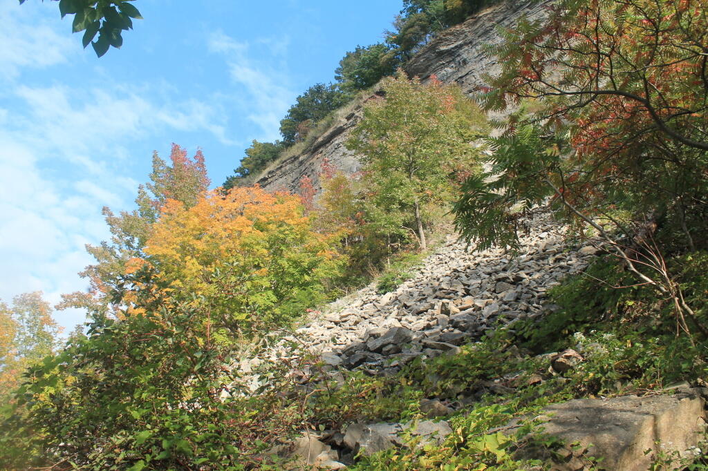Photo: Erosion in the Niagara Escarpment