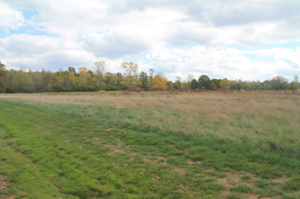 Photo: Field at Beaver Lake State Park