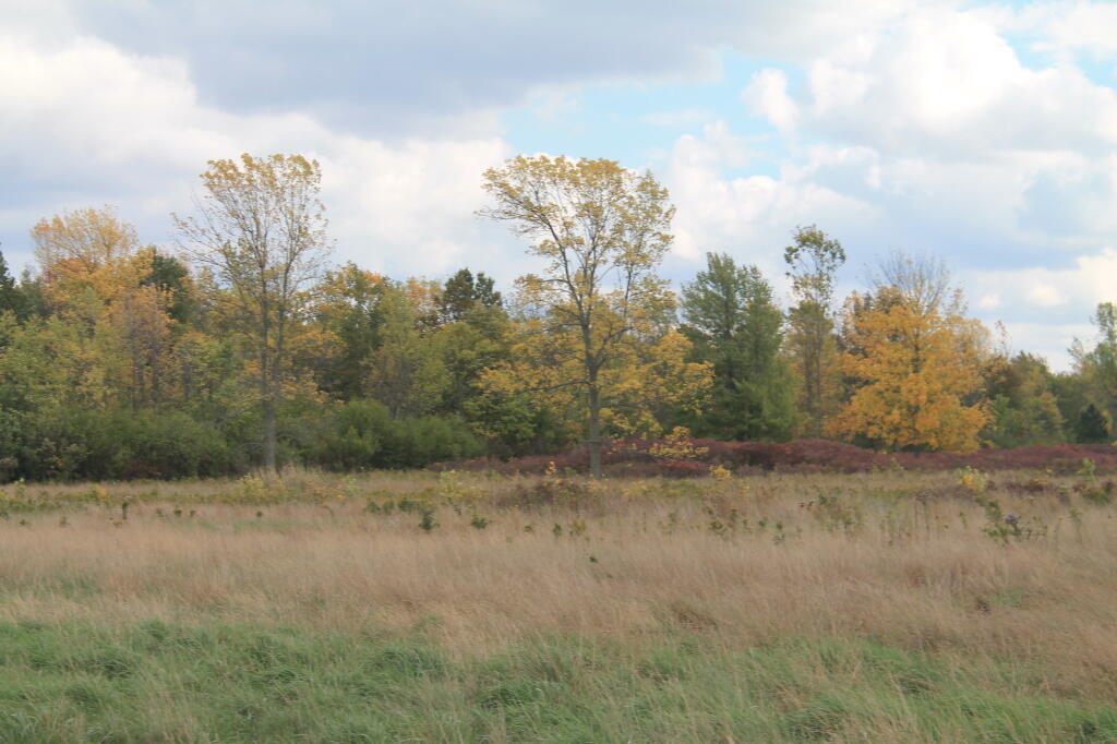 Photo: Fall Fading Fast