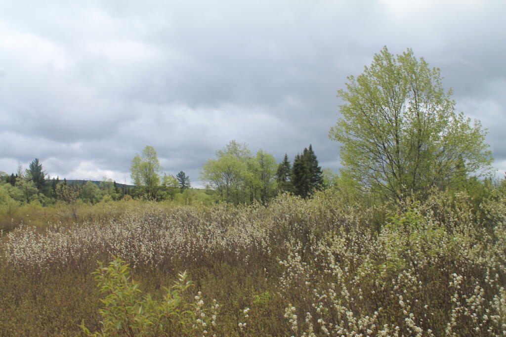 Photo: Cloudy Memorial Day Weekend in 2013