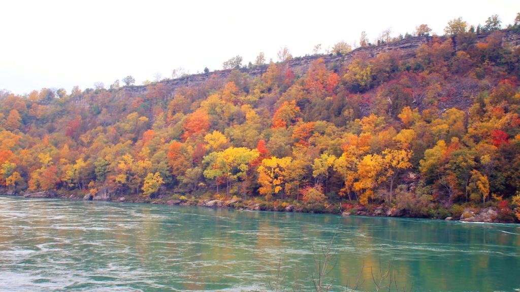 Photo: Niagara River