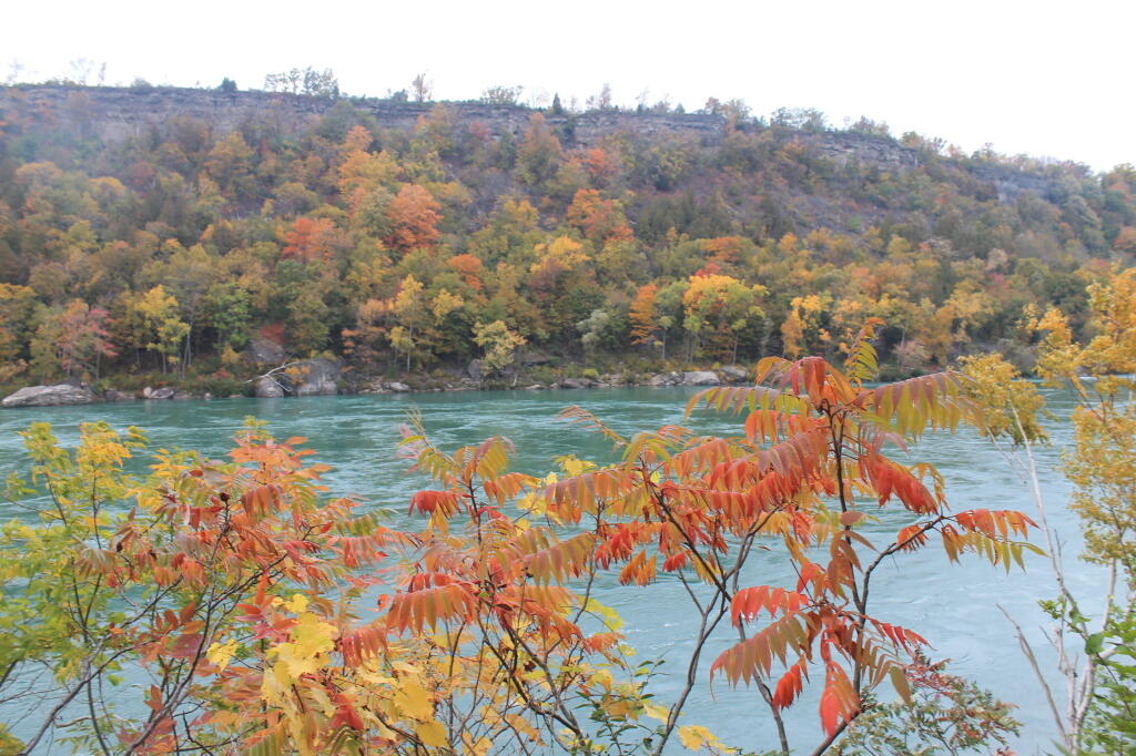 Photo: The Gorge