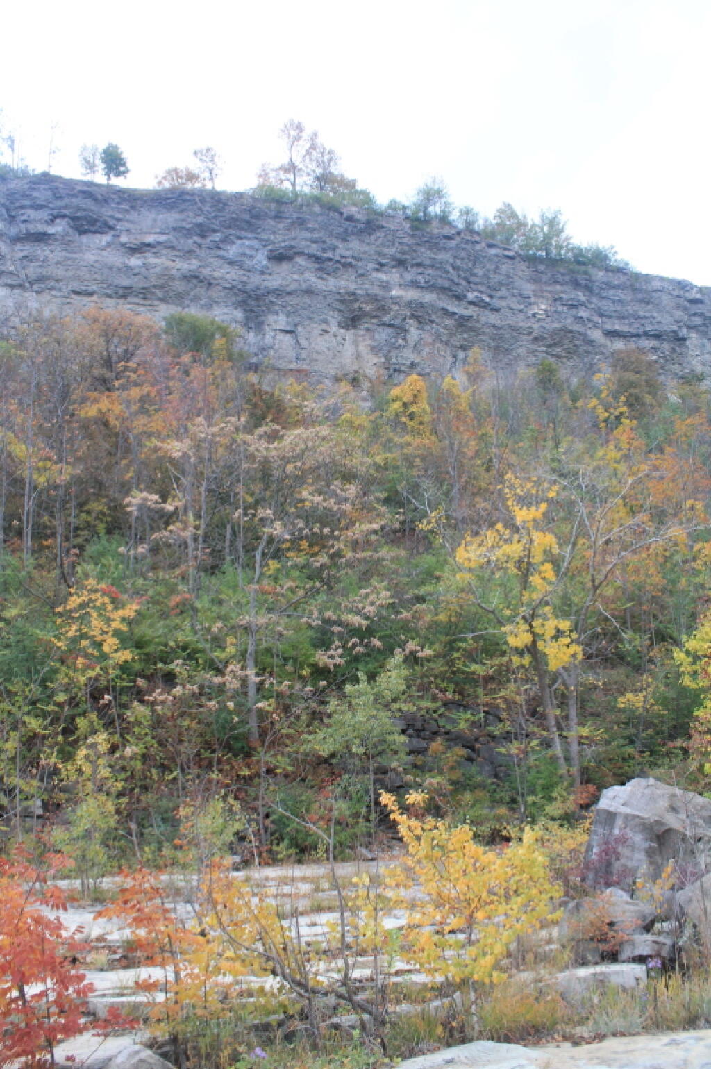 Photo: Whirlpool State Park High Above