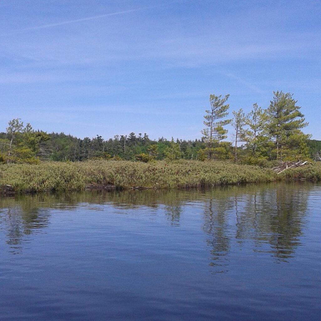 Photo: Island on North Lake Photo: Island on North Lake