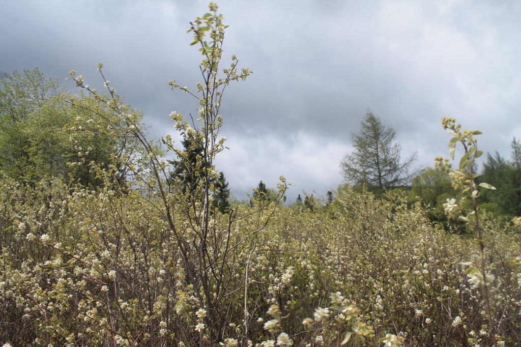 Photo: Springtime in the Plains