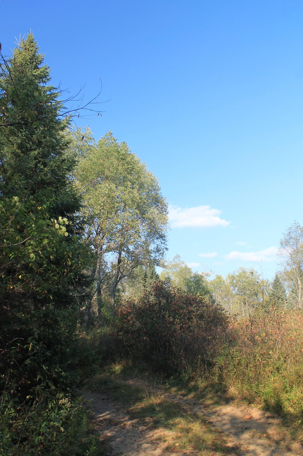 Photo: Morning at Campsite 56