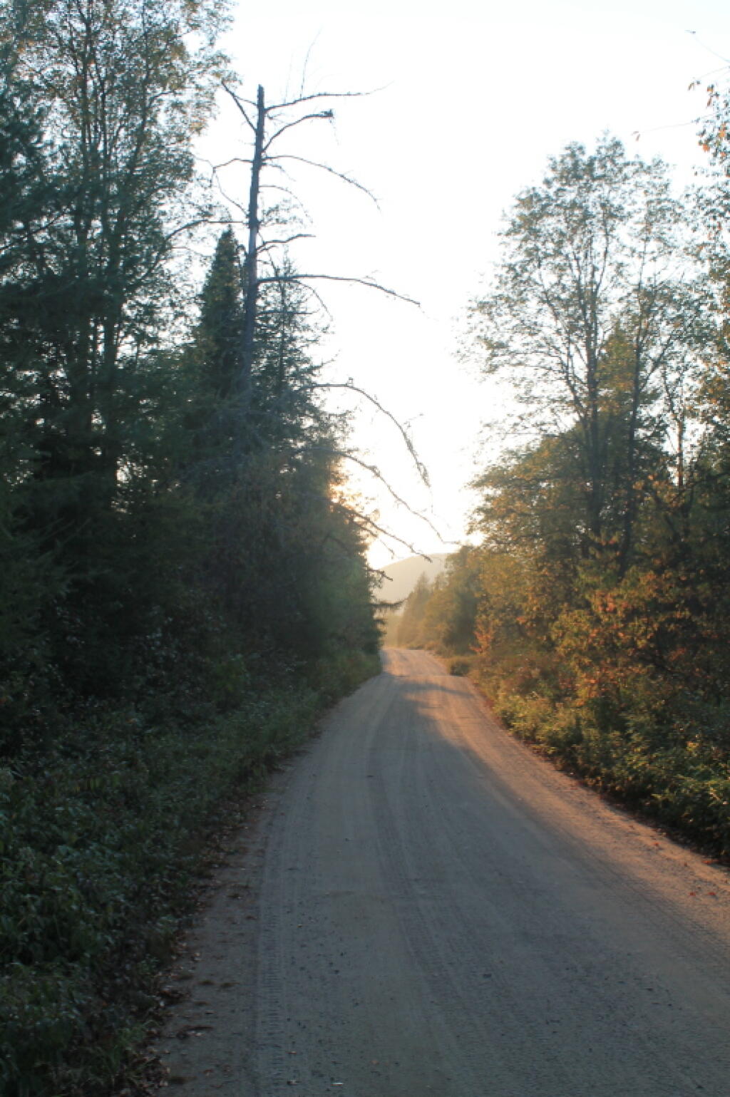 Photo: Walking Along the Road