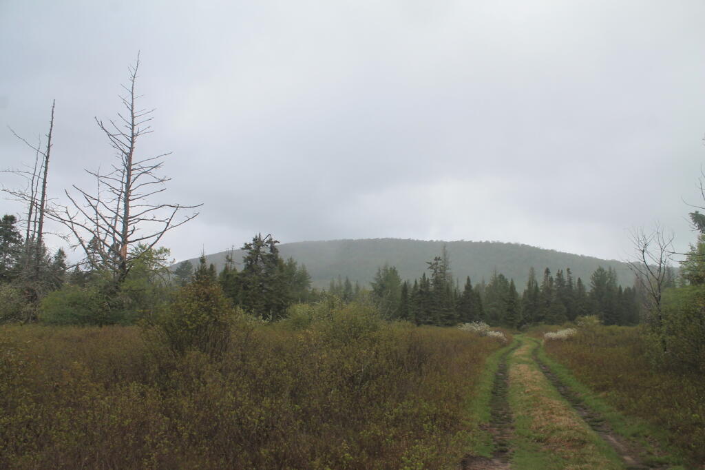 Photo: Rainy Day at Moose River Plains