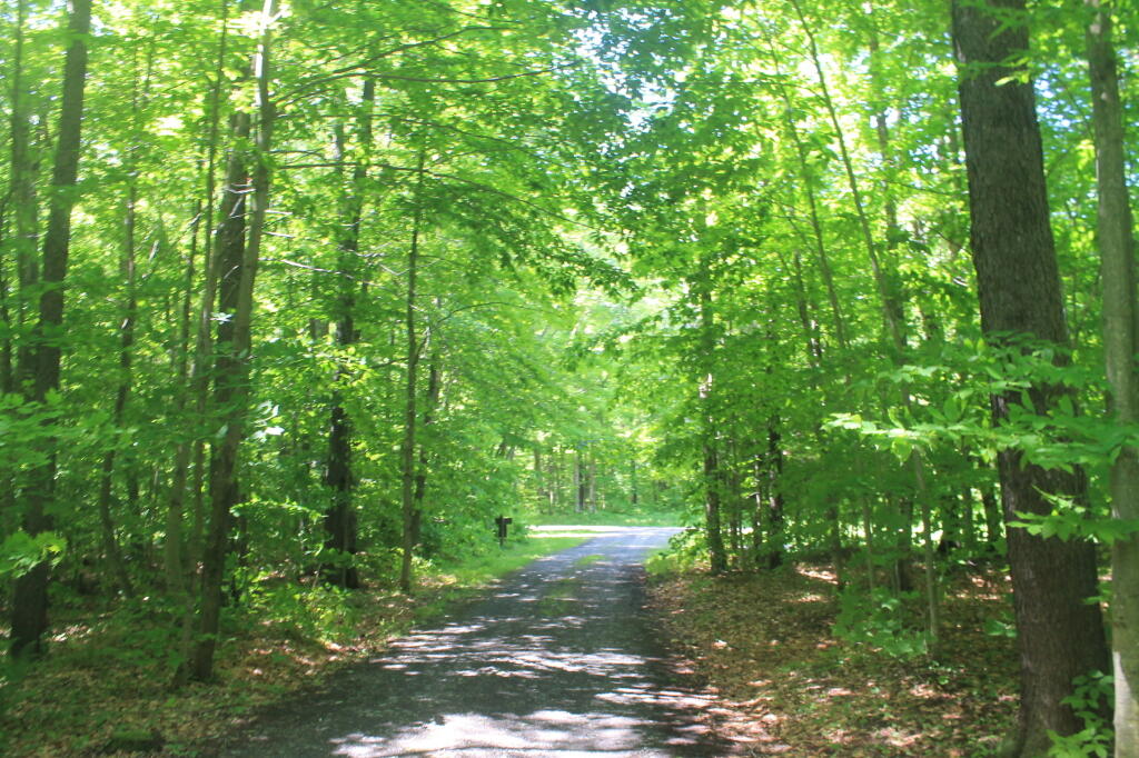 Photo: Cherry Hill Camping Area Road Photo: Cherry Hill Camping Area Road