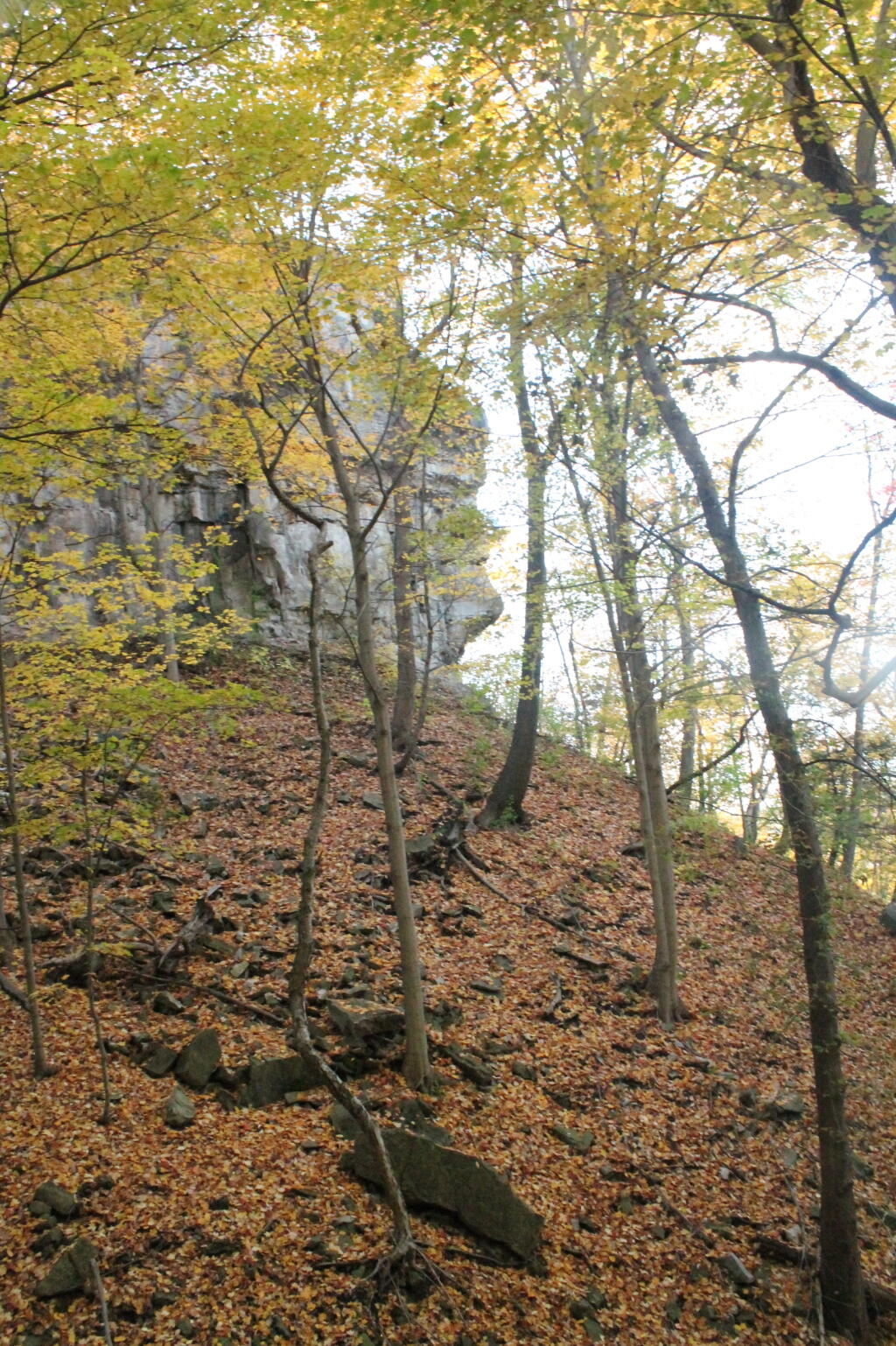 Photo: Heading Down Into Devils Hole