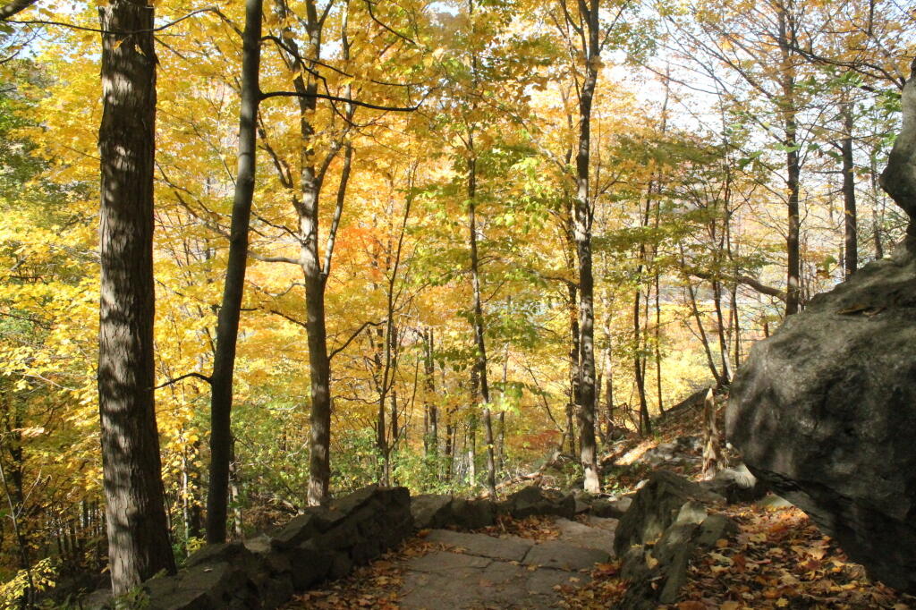 Photo: Colorful Leaves in Devils Hole