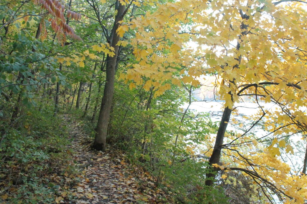 Photo: Along the Edge