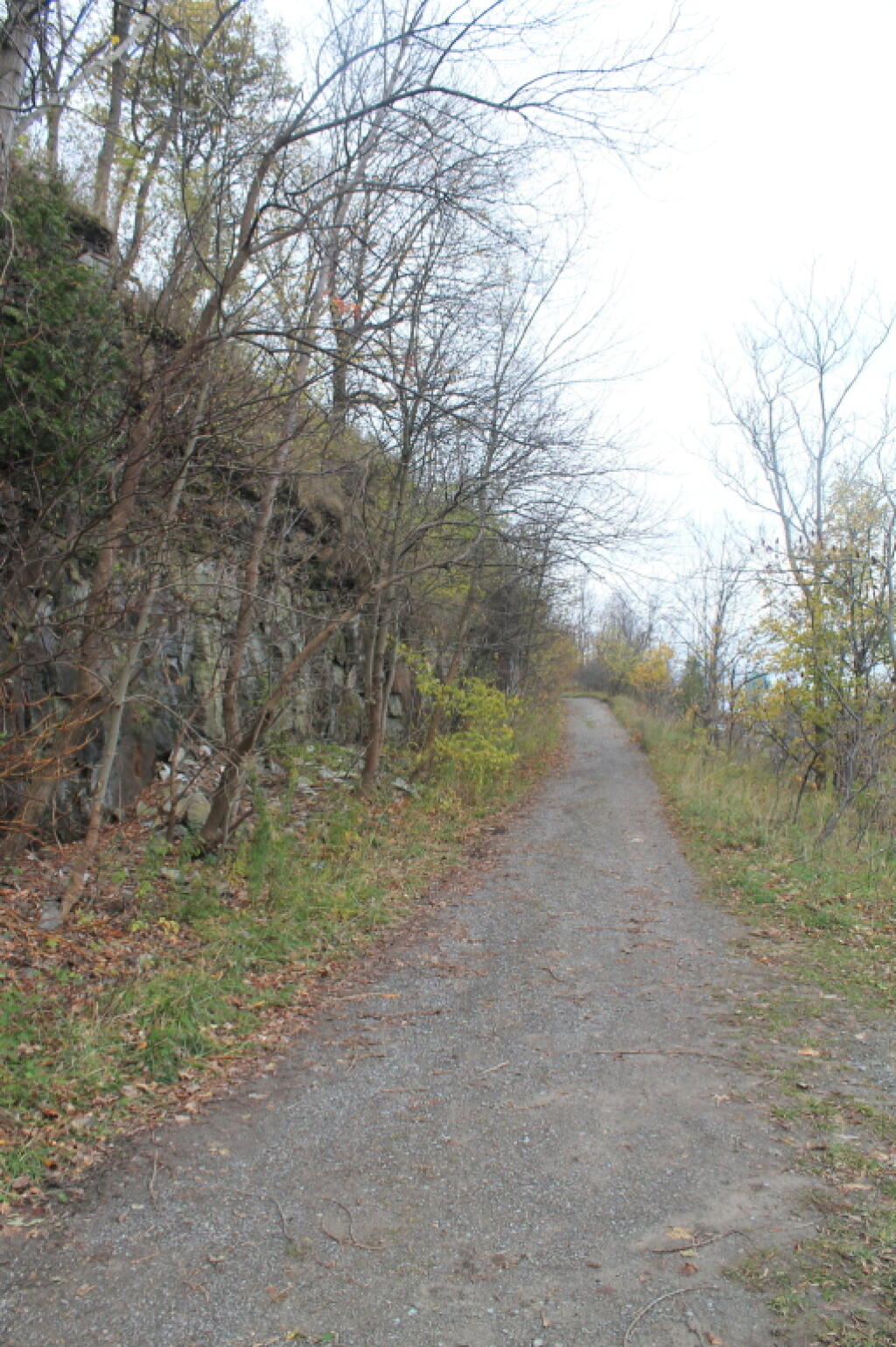 Photo: Old Gorge Railroad Bed