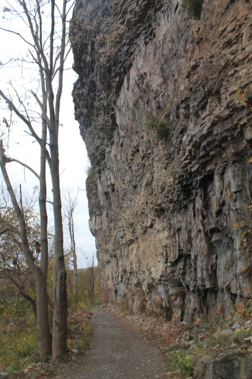 Photo: Niagara Escarpment Wall High Above