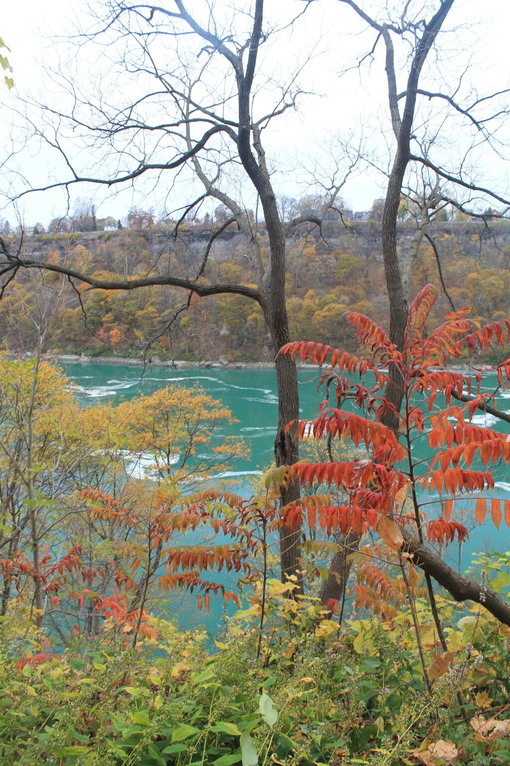 Photo: Remaining Color in the Gorge