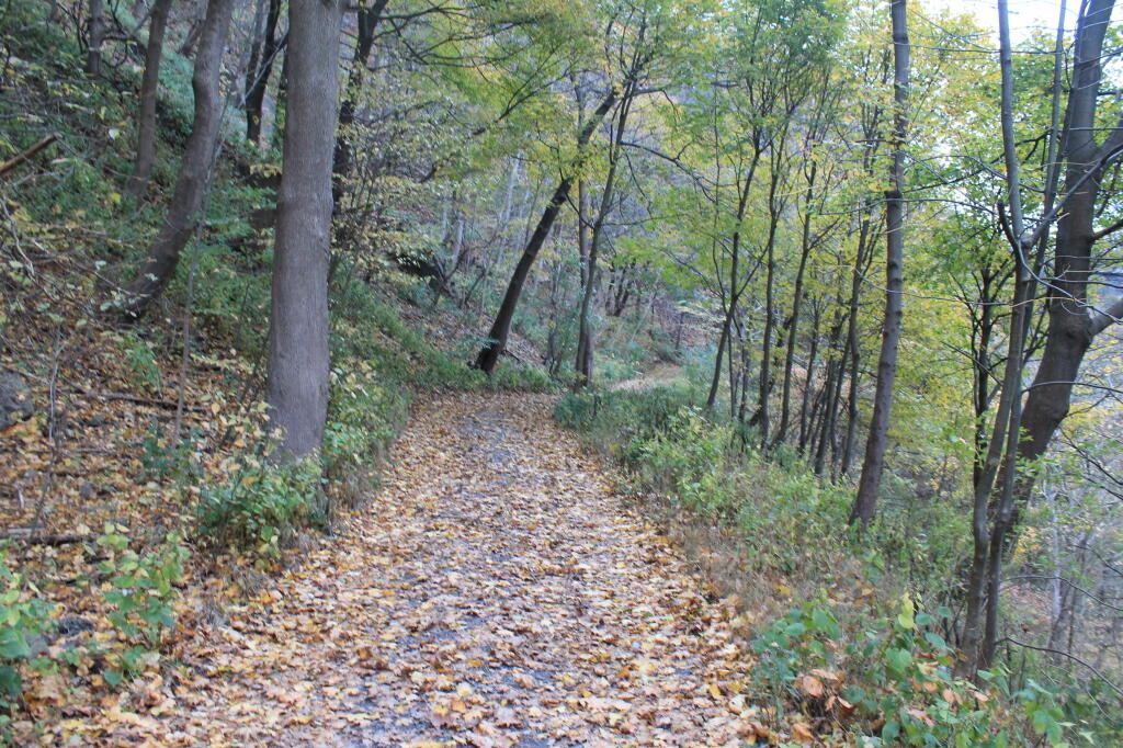 Photo: Rail Trail Photo: Rail Trail