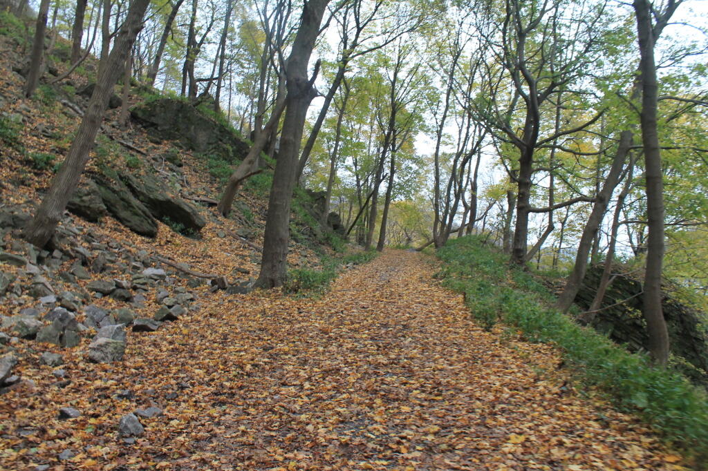 Photo: Old Railroad Bed