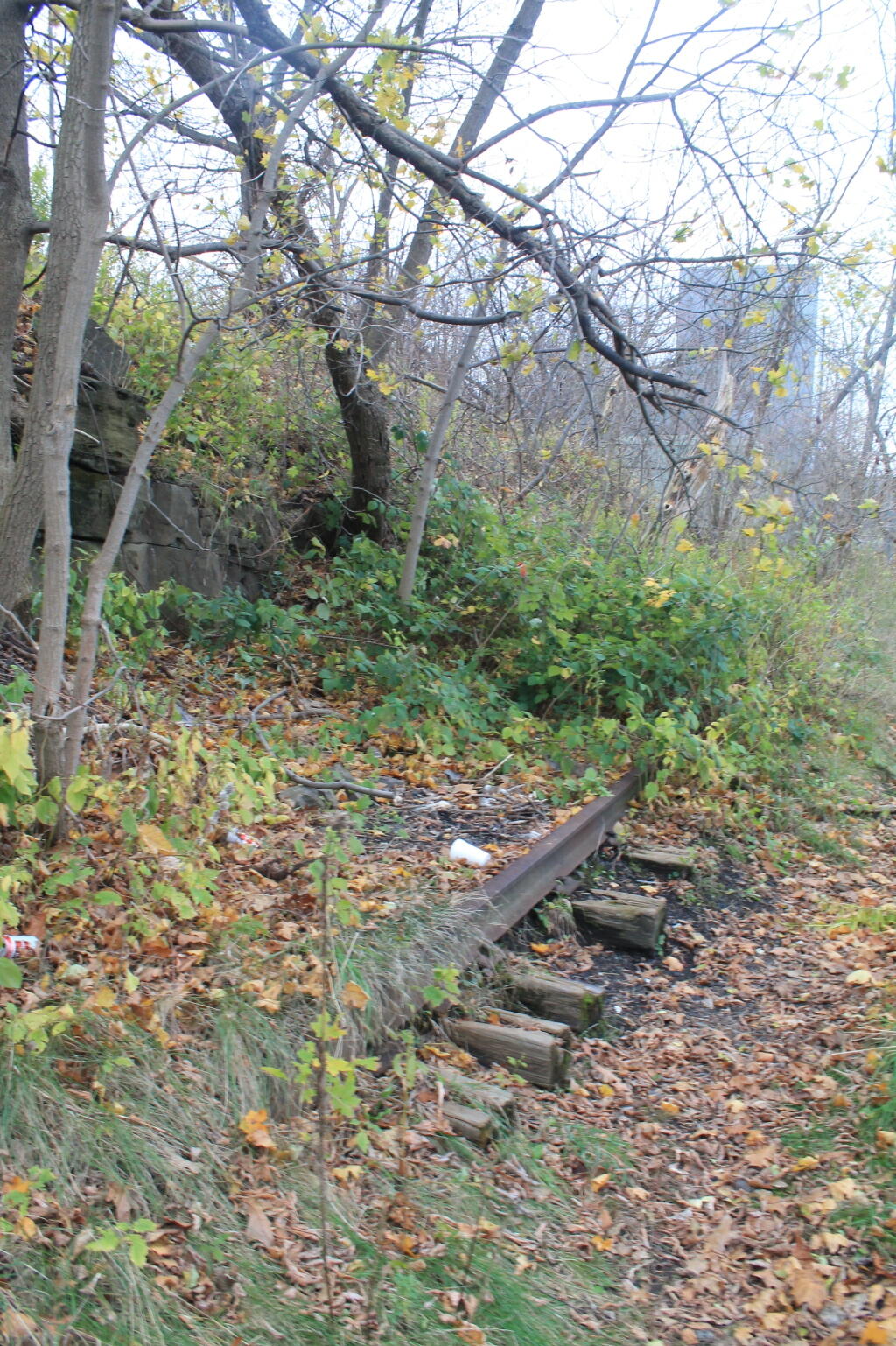 Photo: Abandoned Gorge Railroad Tracks