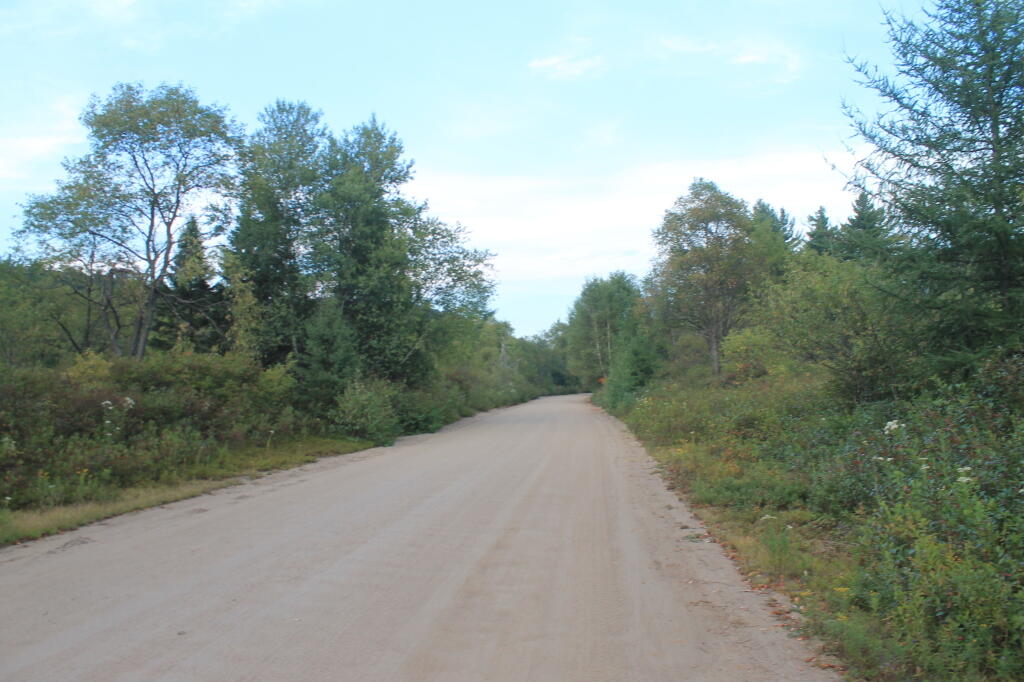 Photo: Moose River Plains Road