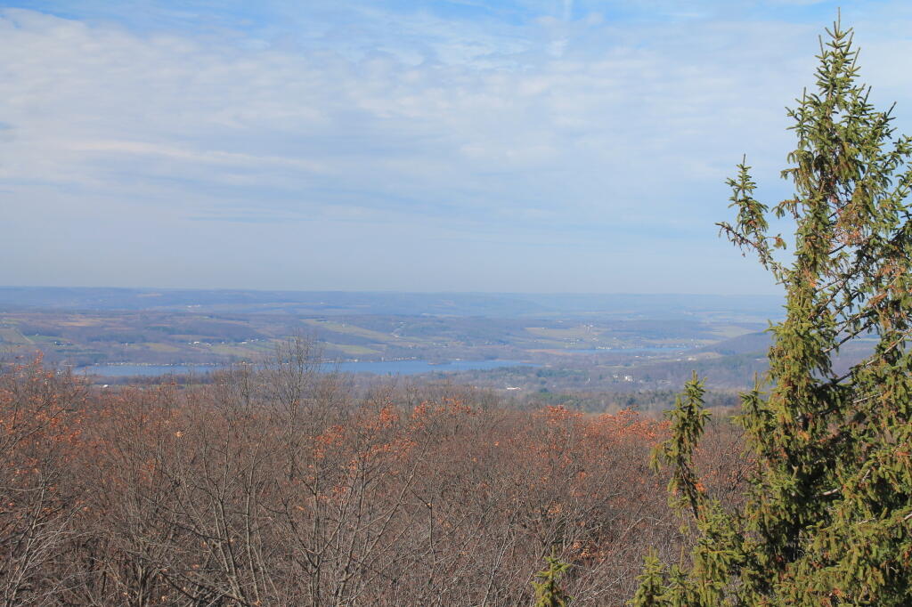 Photo: Lamoka Lake and Watena Lake from Firetower Photo: Lamoka Lake and Watena Lake from Firetower
