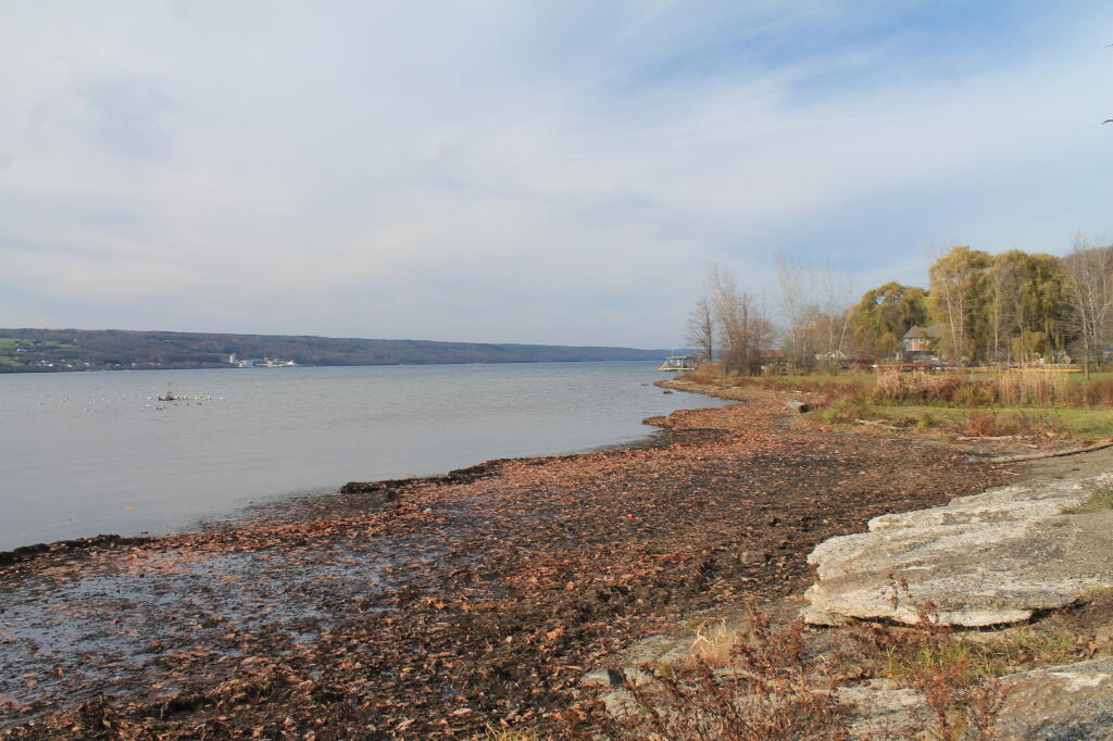 Photo: Seneca Lake