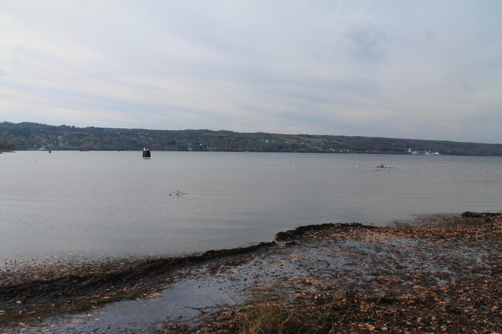 Photo: The Lake