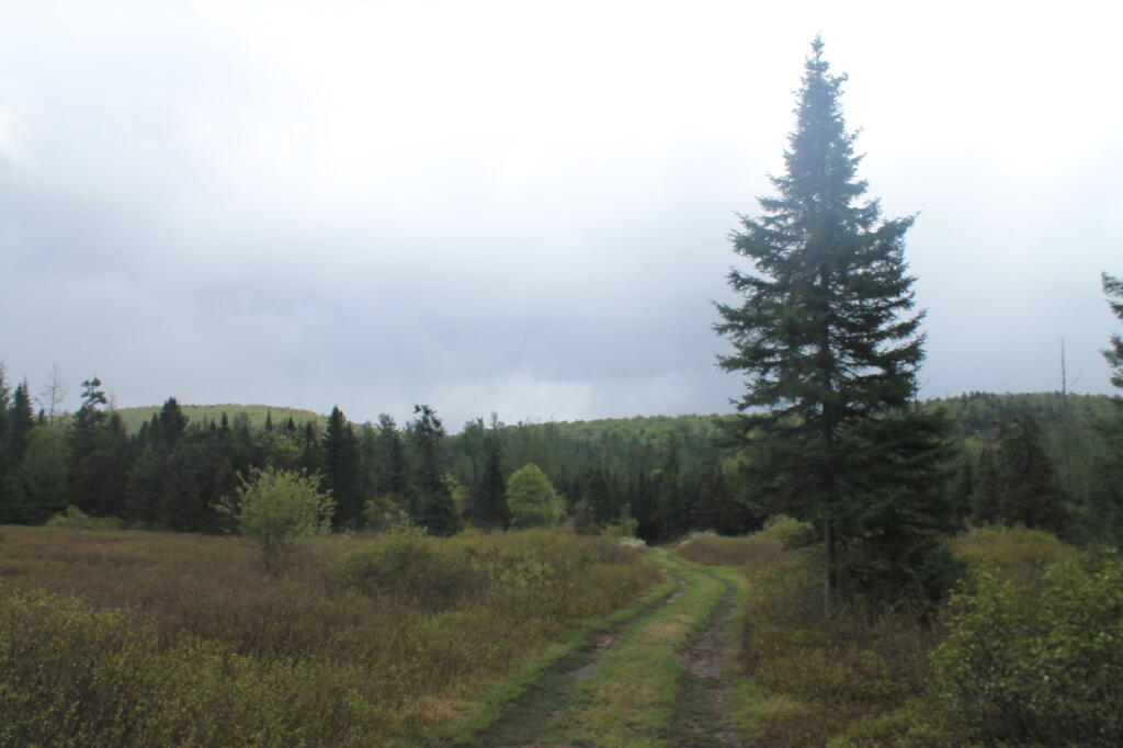 Photo: Along the Way