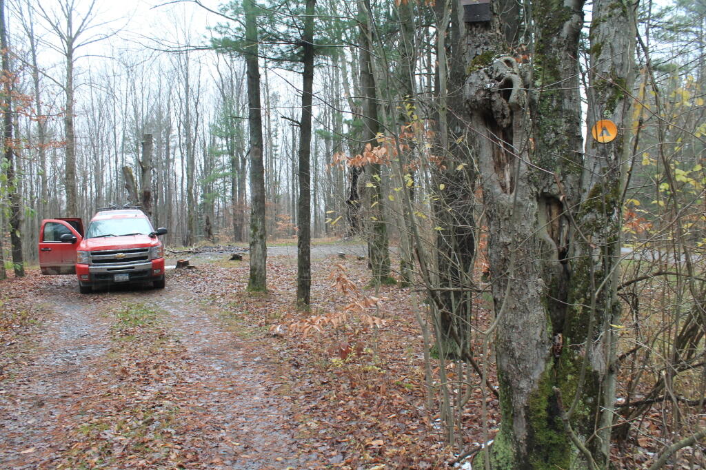 Photo: Campsite 10