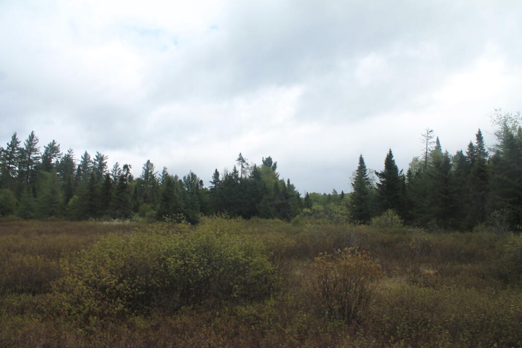 Photo: No Rain, But Clouds Continue to Hang Low Photo: No Rain, But Clouds Continue to Hang Low