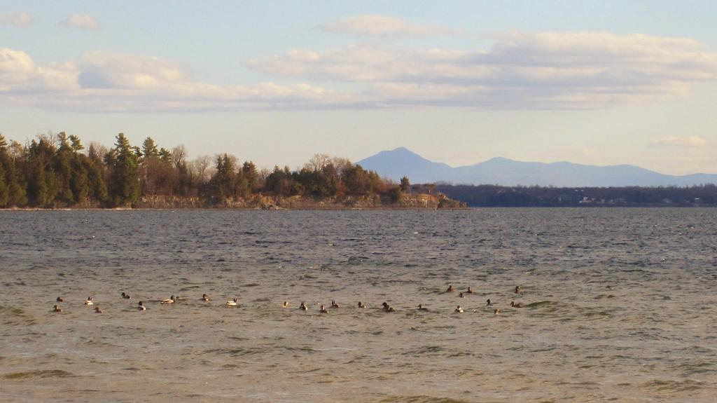 Photo: Long Point with Green Mountains in background