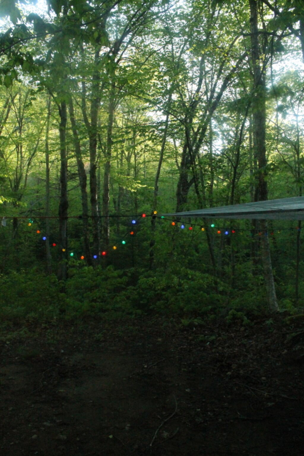 Photo: Lights