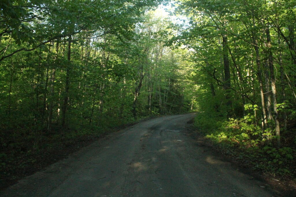 Photo: Cedar River-Limekiln Road After the Sun Came Back