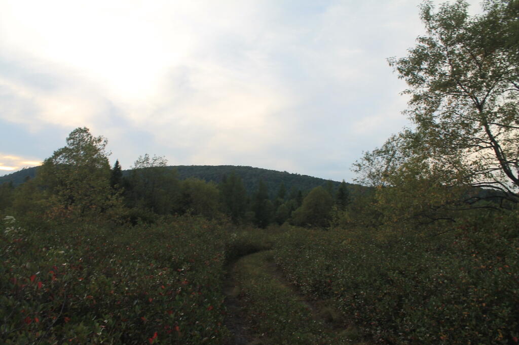 Photo: Walk in the Plains