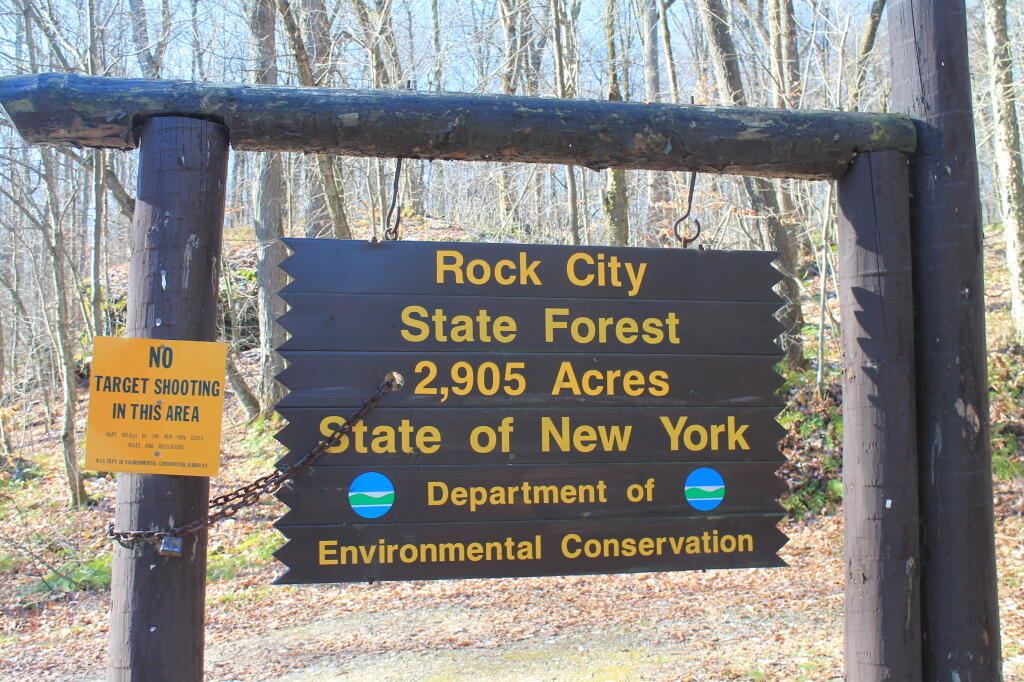 Photo: Rock City State Forest Sign