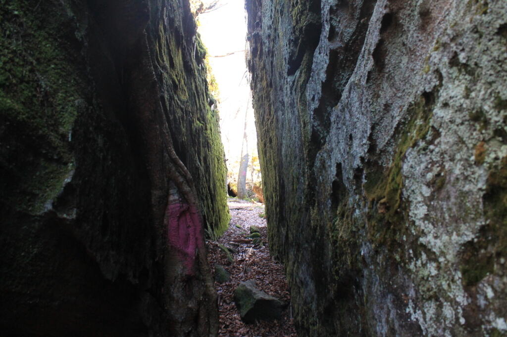 Photo: Narrow