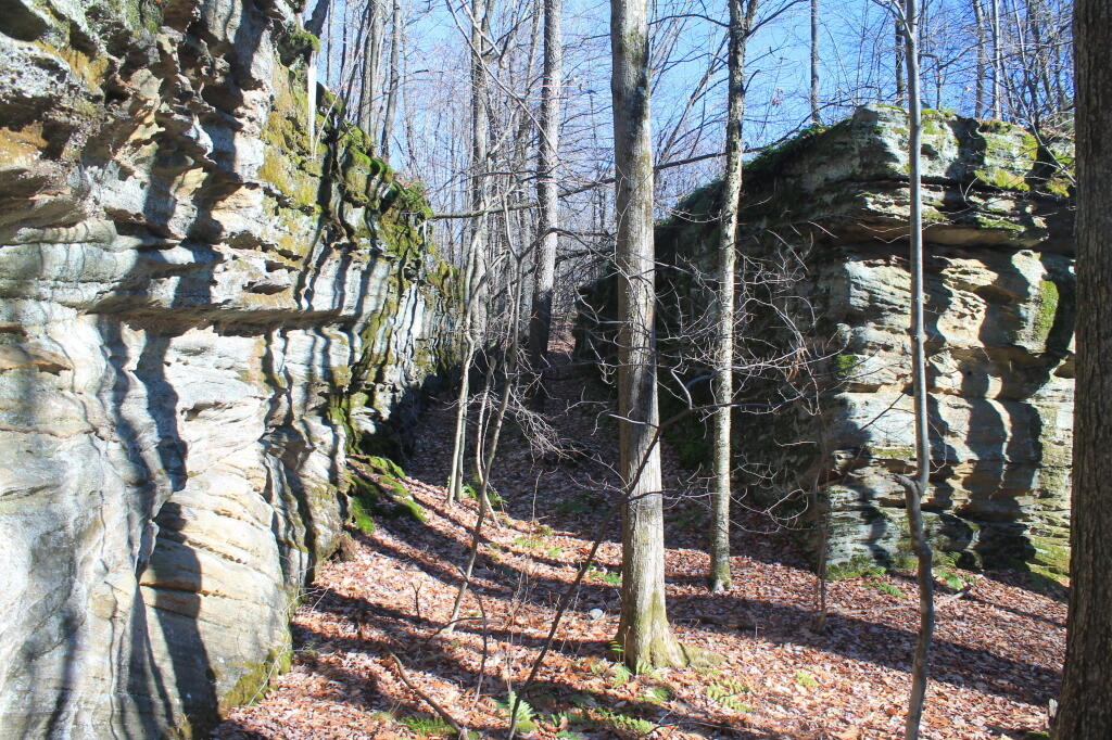 Photo: Buildings