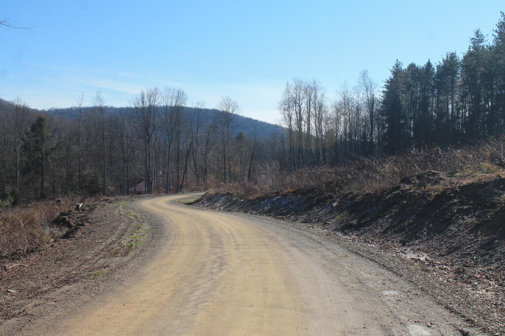 Photo: Hungry Hollow Road