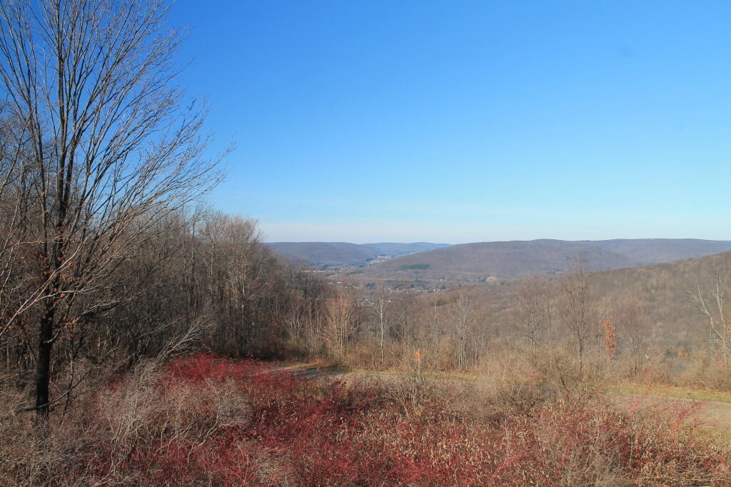Photo: View from Stone Observation Tower Photo: View from Stone Observation Tower