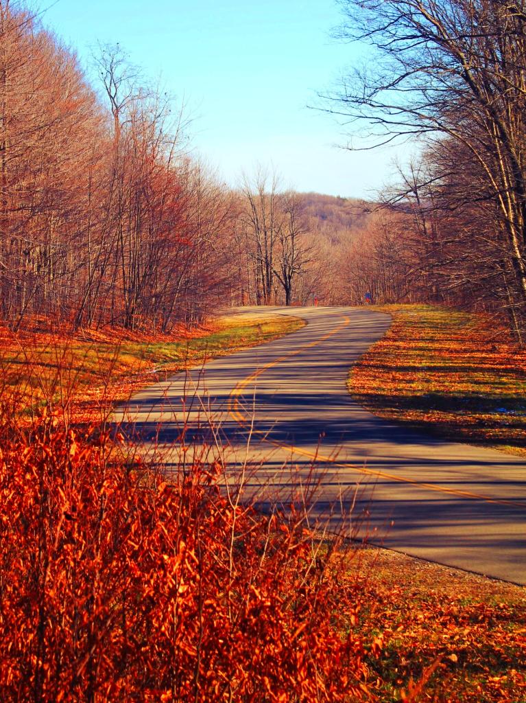 Photo: ASP Route 1 Photo: ASP Route 1
