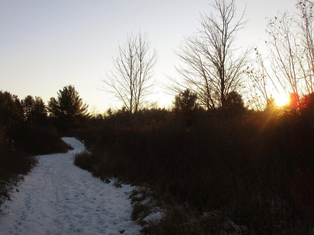 Photo: Cold Afternoon Photo: Cold Afternoon