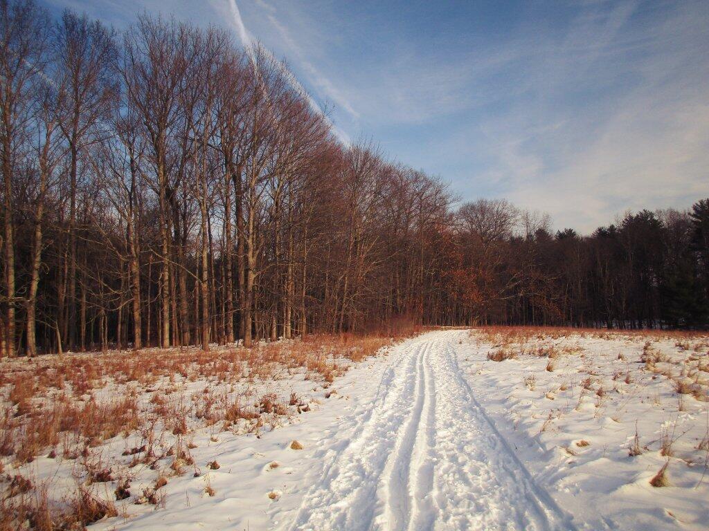 Photo: Decent Conditions For Skiing