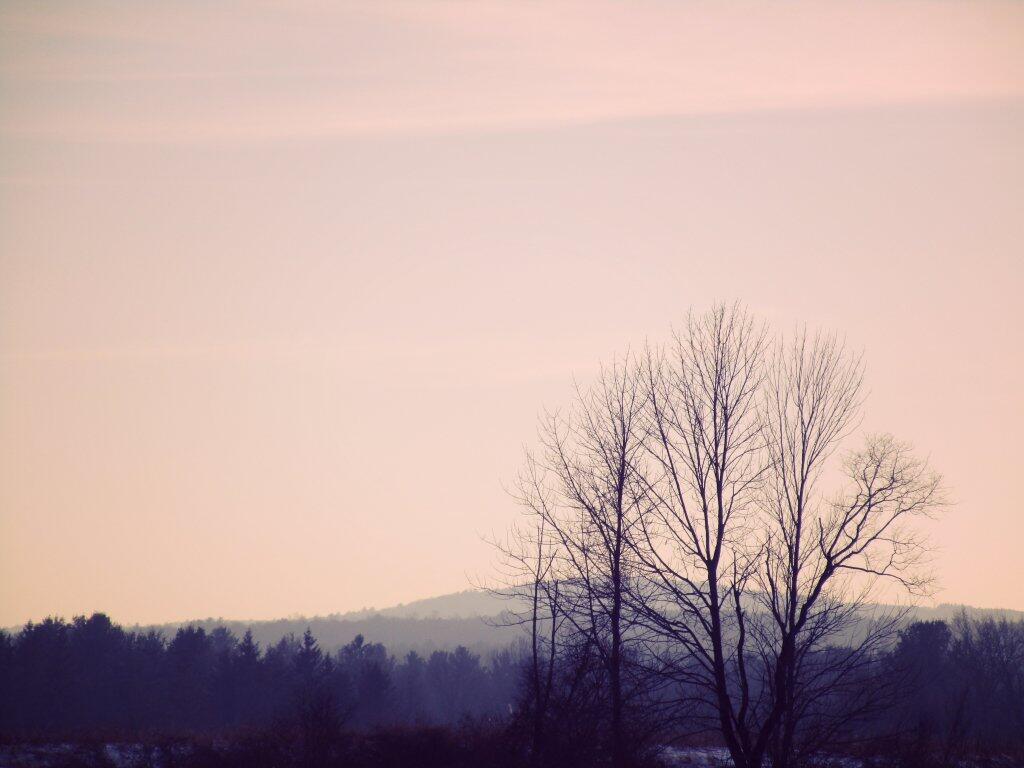 Photo: Kind Of A Hazy Winter Day Photo: Kind Of A Hazy Winter Day