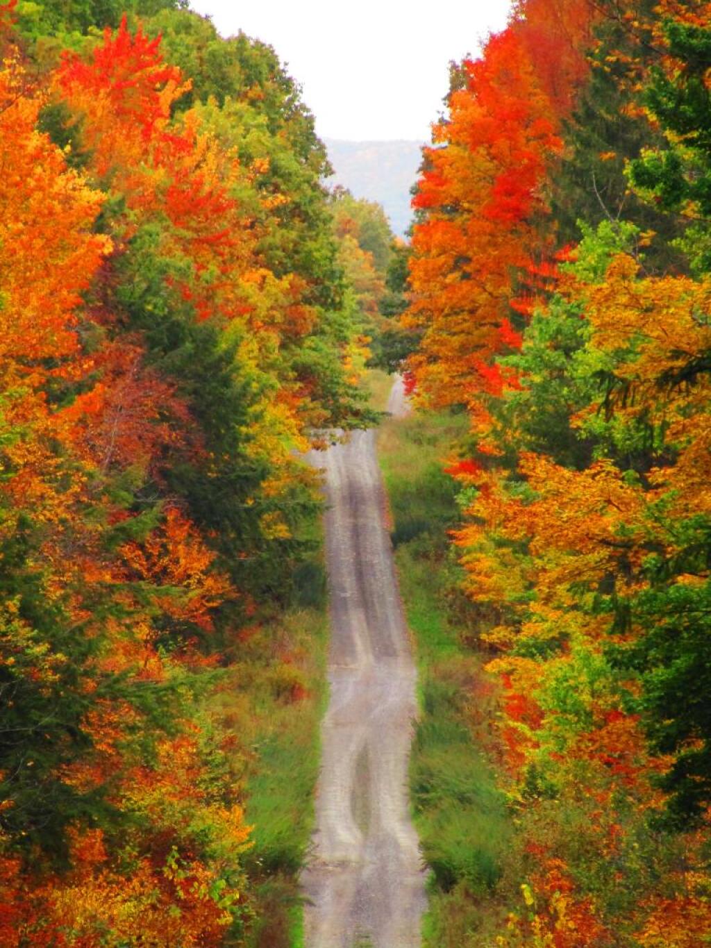 Photo: Burnt Hill Road Photo: Burnt Hill Road