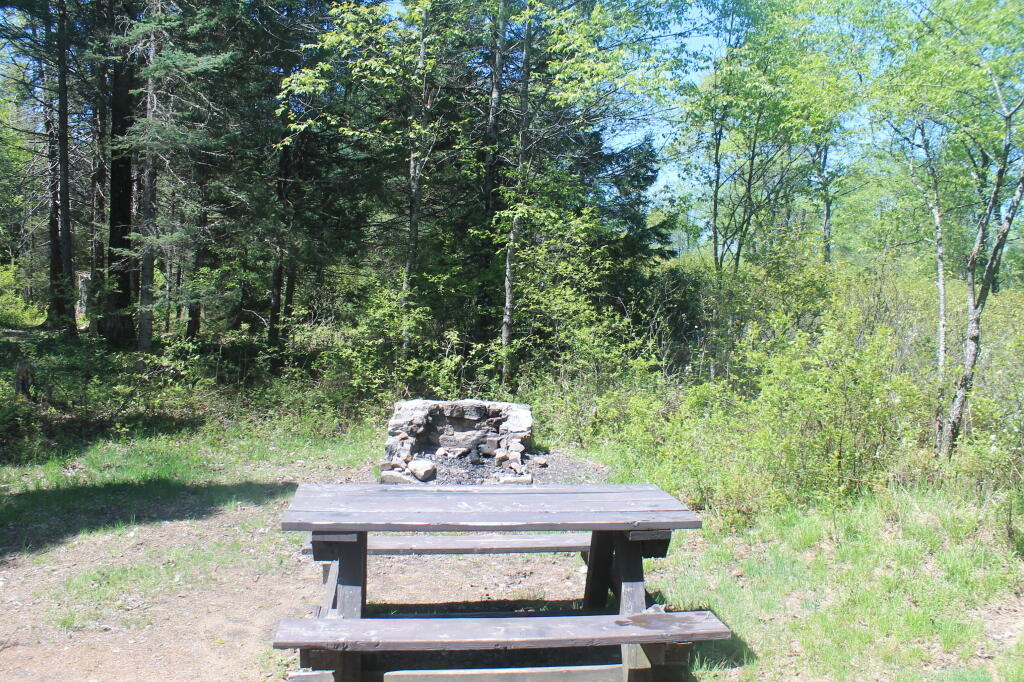 Photo: Campsite 56