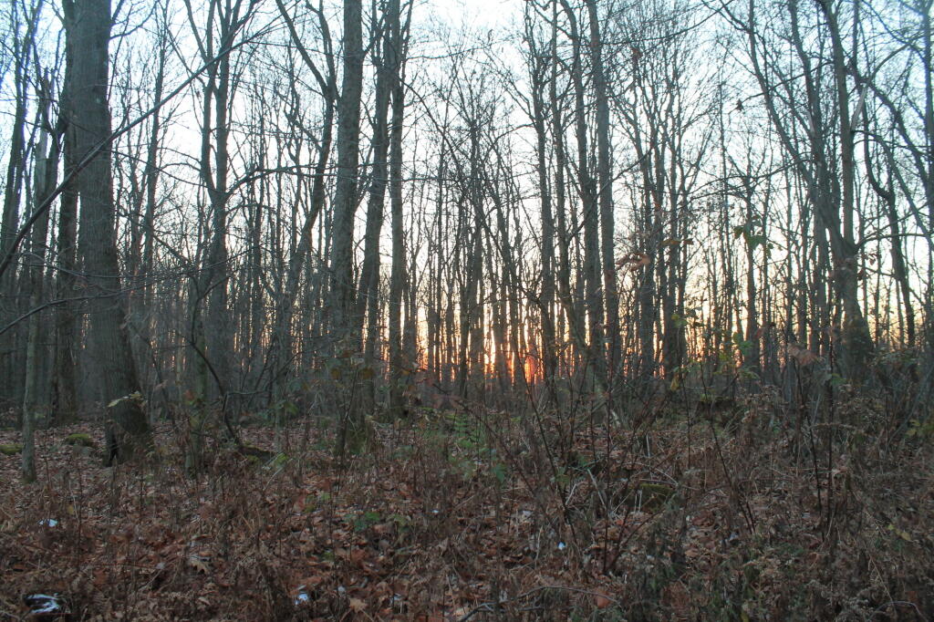 Photo: Last Night on Camping Trip