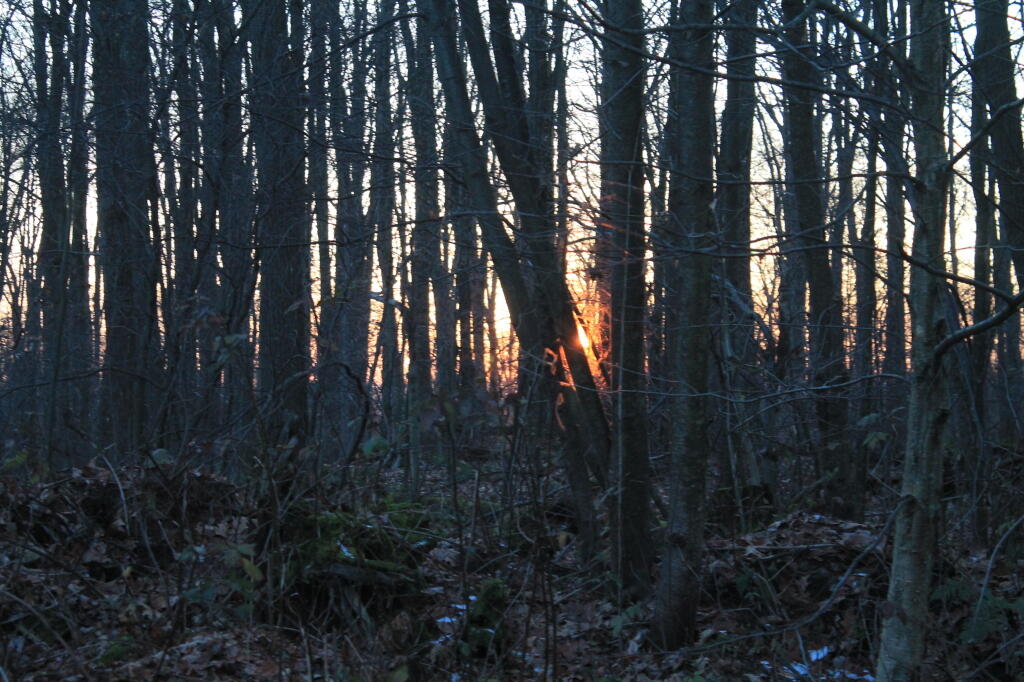Photo: Final Sunset
