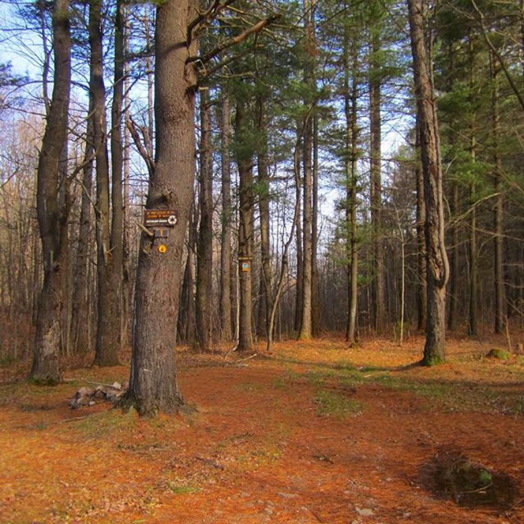 Photo: Campsite Photo: Campsite