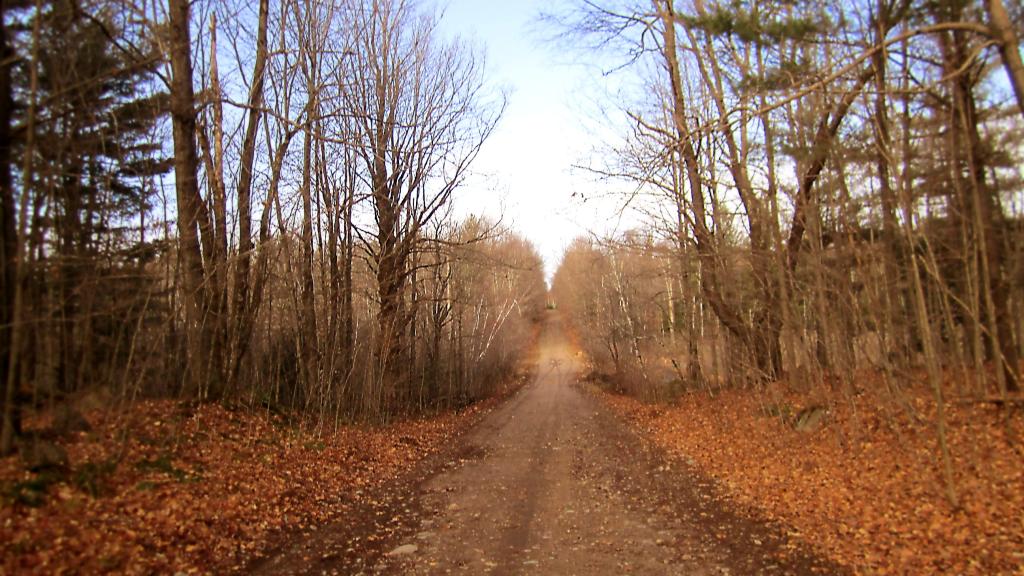 Photo: Conservation Road Photo: Conservation Road